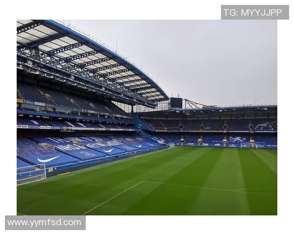 九位足球明星的传奇故事与他们在绿茵场上的辉煌成就分析